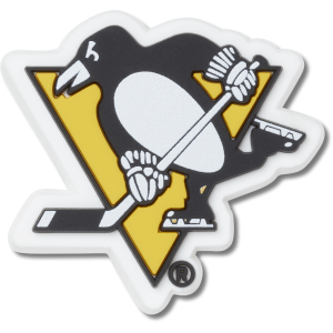 NHL? Pittsburgh Penguins?