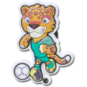FIFA World Cup?2026?