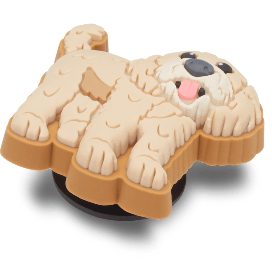 Golden Doodle Puppy - Image 2
