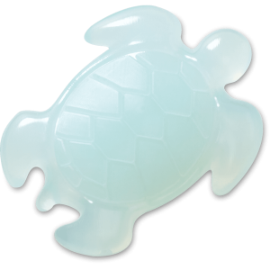 Light Blue Turtle