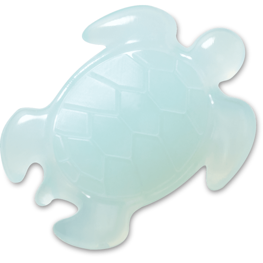 Light Blue Turtle
