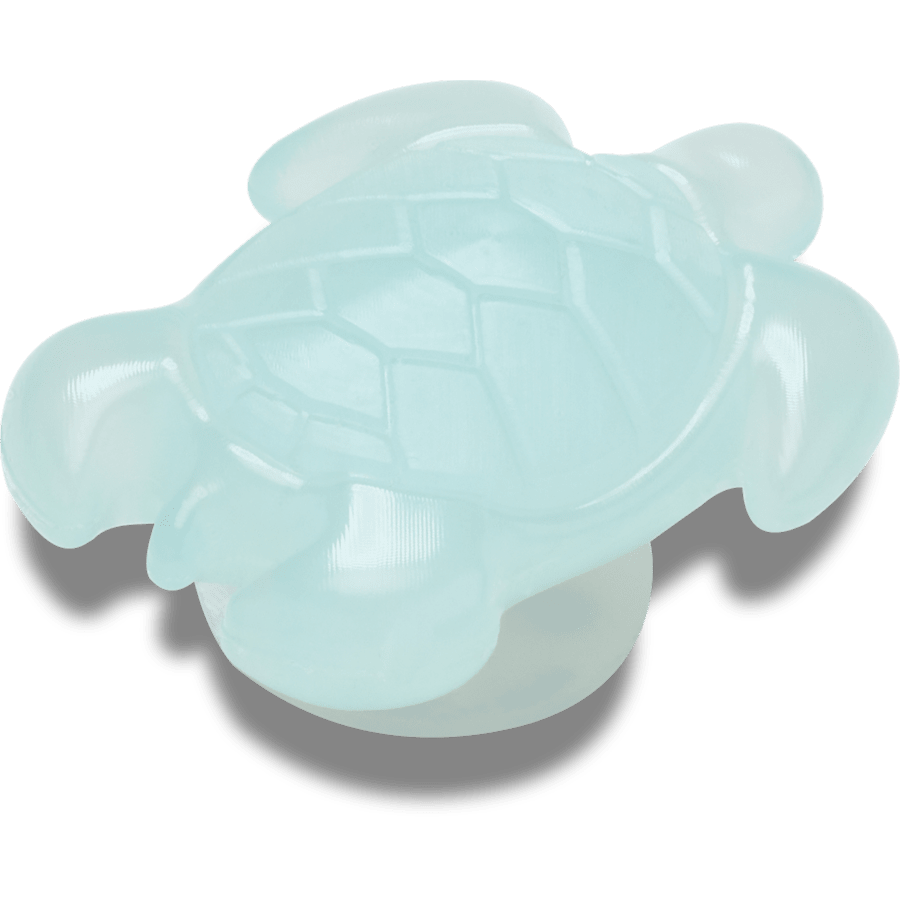 Light Blue Turtle - Image 2