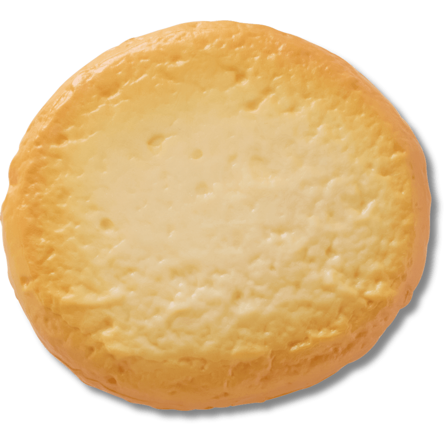 Realistic Cookie 1