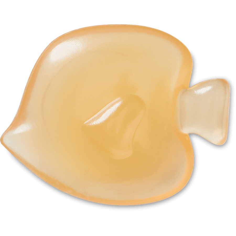 Orange Fishie